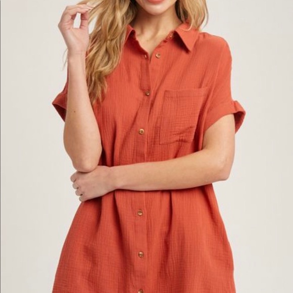 NWT Woman Owned Designer BluIvy Button Up Shirt Dress with Pocket, Terracotta - Picture 3 of 4